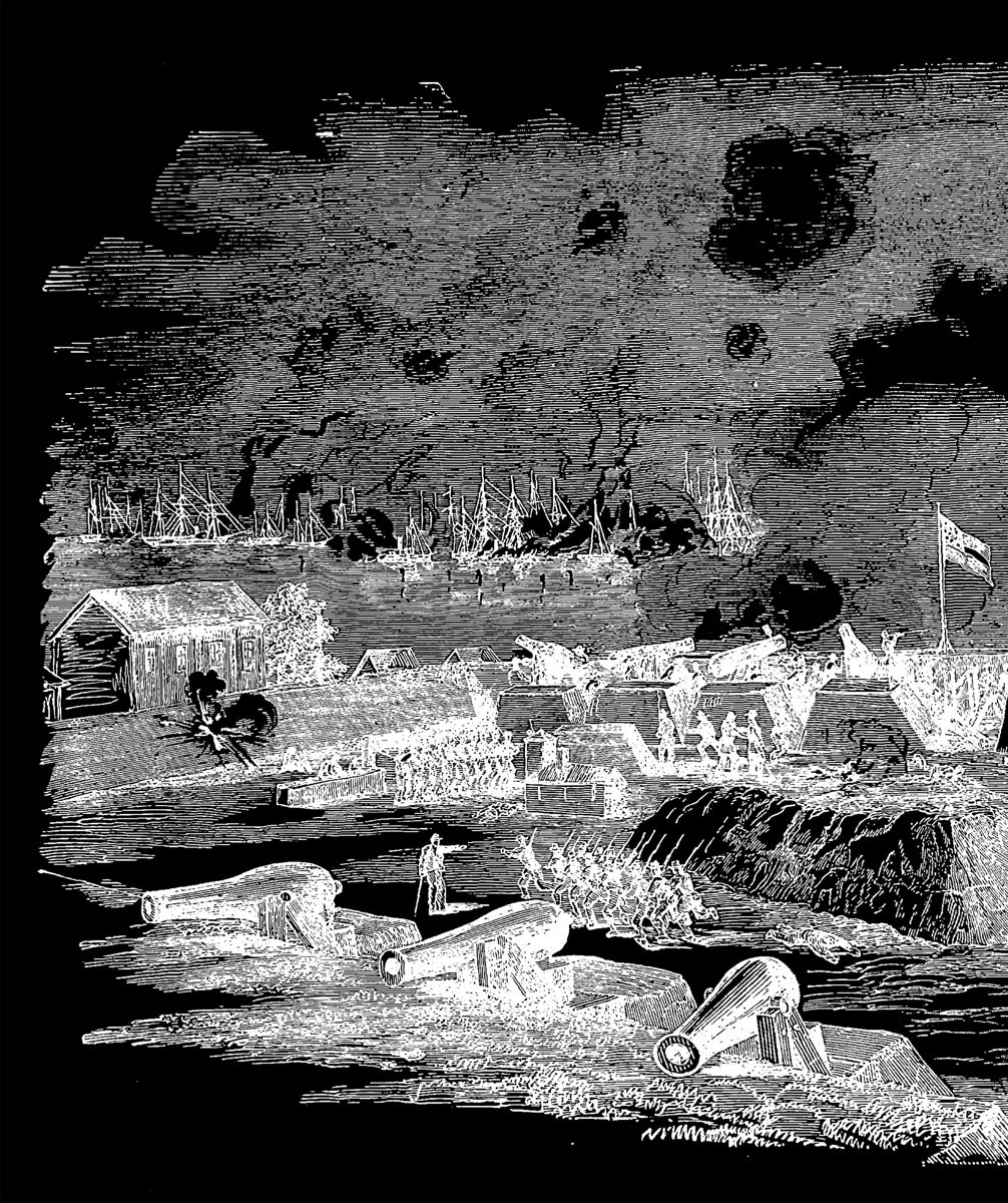 Carved Palmetto Model 1852 Muskets Captured at Fort Walker — photograph 6 from the original article