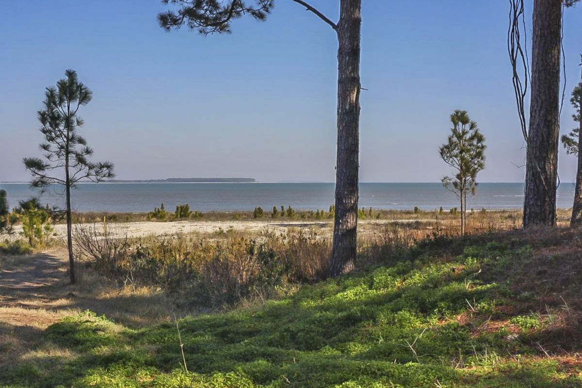 The Battle of Port Royal Sound — photograph 8 from the original article