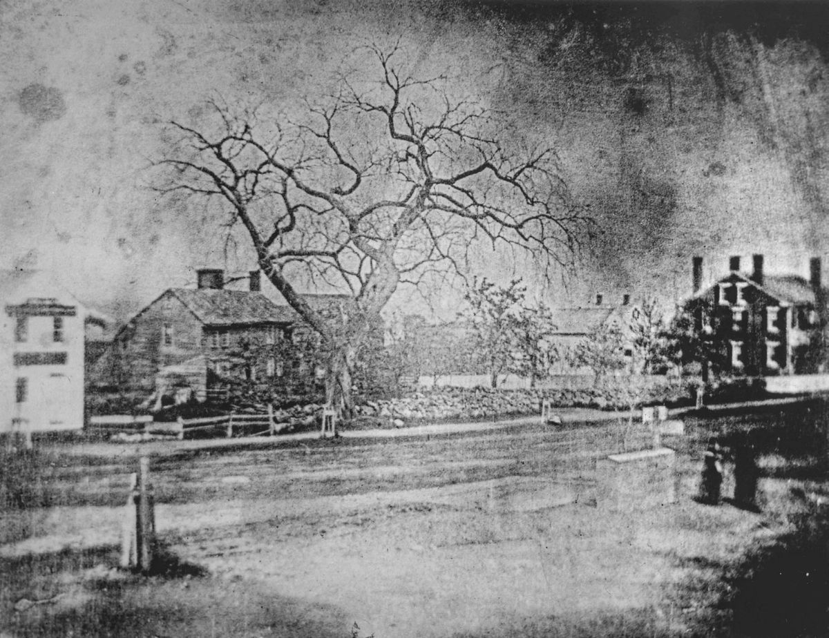 “the Dreadful Trophies of War” — lead photograph from the original article